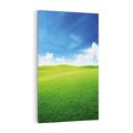 Obraz na płótnie 80x120 - Łąka pod Niebem - łąka, niebo