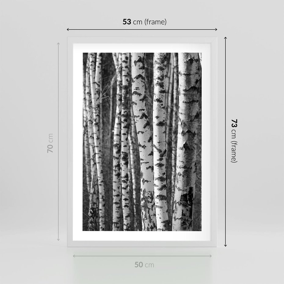 Plakat w ramie 50x70 - Kontrast Monochromatyczny - brzozy, czarno - rama biała