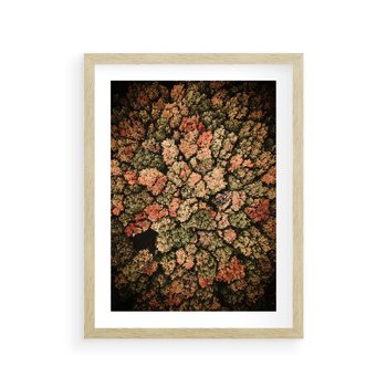 Plakat w ramie 30x40 - Jesień z Lotu Ptaka: Malowniczy Las - las jesienią z lotu ptaka - rama drewno