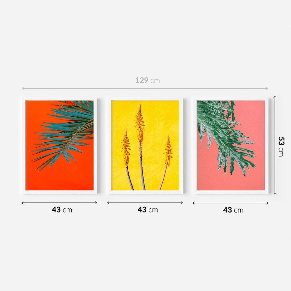 Zestaw obrazy w ramie 40x50 galeria - Rośliny, liście, kolorowe, energetyczne, tło - rama biała