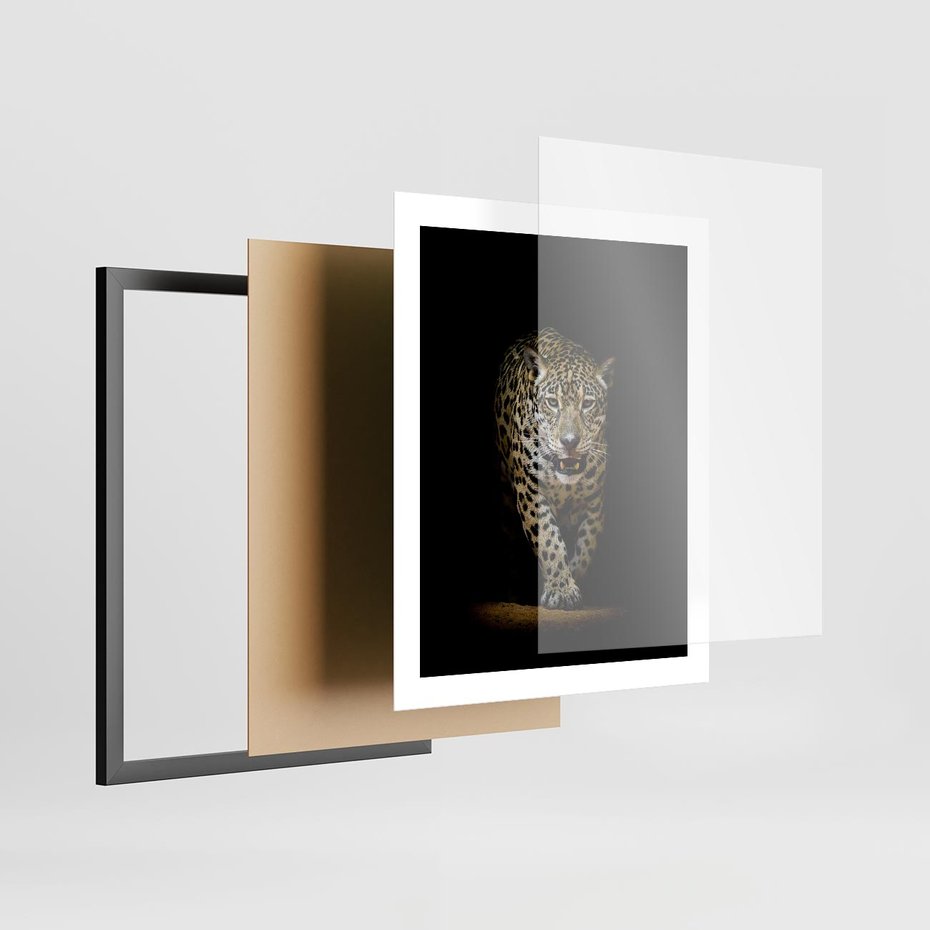 Plakat w ramie 40x50 - Elegancja lamparta - lampart, pantera - rama czarna