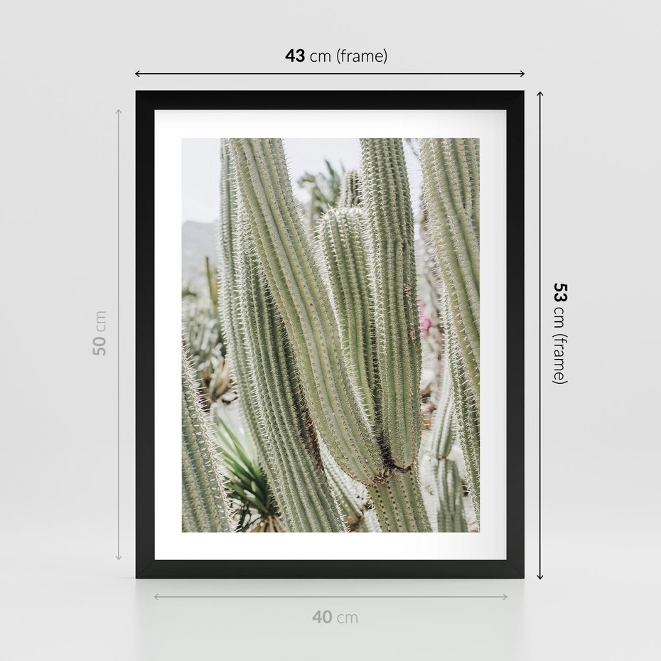Plakat w ramie 40x50 - Duże Kaktusy w Pejzażu - kaktus, duże kaktusy na pustyni - rama czarna