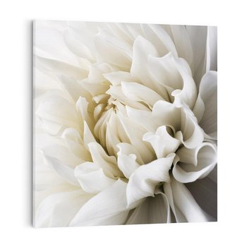 Obraz na płótnie 40x40 - Białe Kwiaty Delikatności - białe, kwiaty