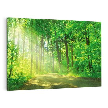 Obraz na płótnie 100x70 - Urok lasu na drodze - las, drzewa