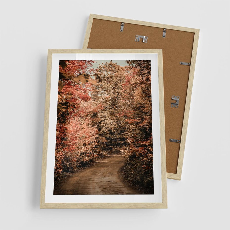 Plakat w ramie 50x70 - Obraz przedstawia jesienne drzewa i czerwone liście na ścieżce w lesie. Ta sceneria doskonale oddaje urok i kolorystykę jesieni w lesie. - las, jesień - rama drewno