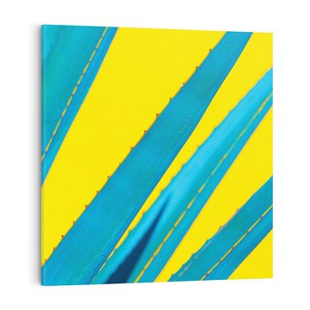 Obraz na płótnie 40x40 - Świeżość Natury - aloes, liście