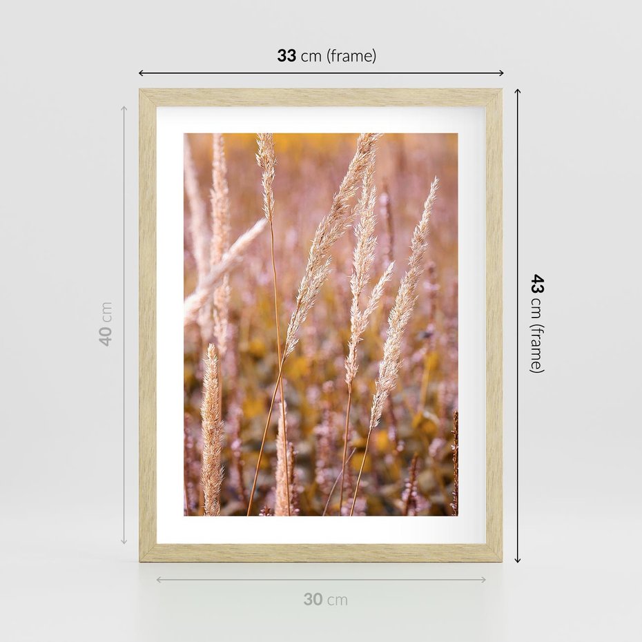 Plakat w ramie 30x40 - Sucha Trawa w Sierpniu - trawy, łąka - rama drewno
