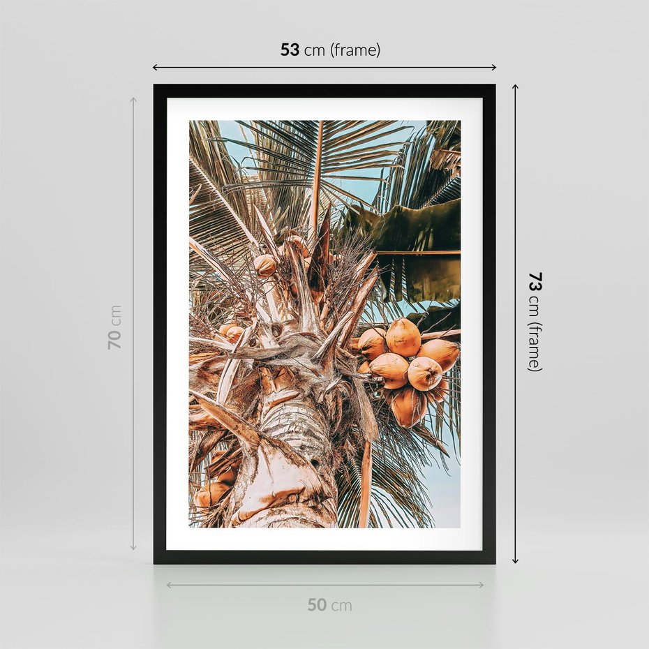 Plakat w ramie 50x70 - Tropikalna Palma: Fotografia z Kokosami - palma kokosowa, kokosy - rama czarna