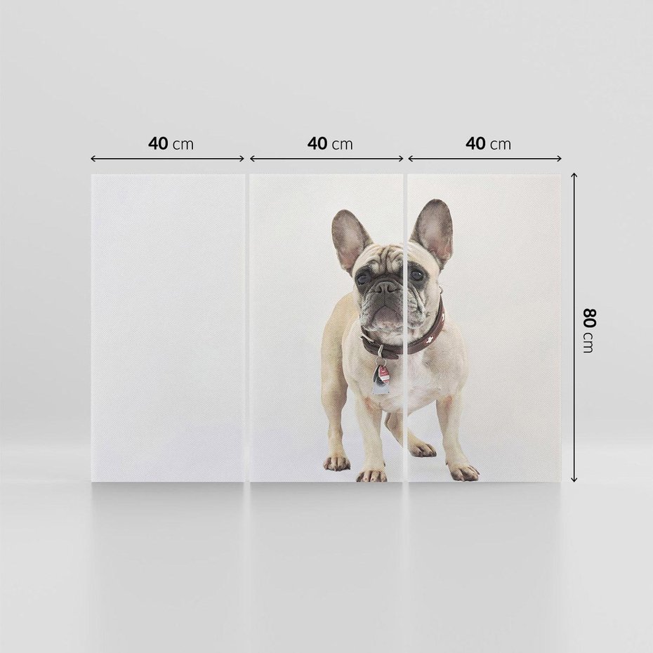 Obraz na płótnie 120x80 - Wernisaż psiego wdzięku - pies, piesek