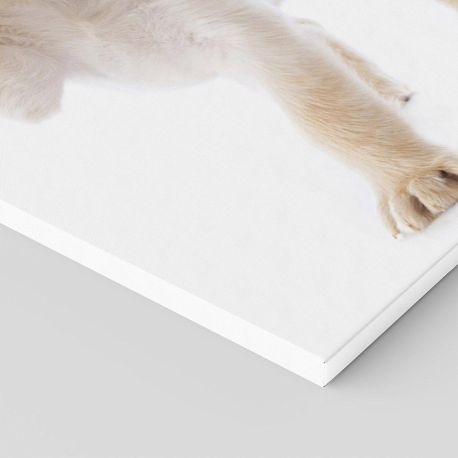 Obraz na płótnie 70x100 - Szczeniak pełen radości - piesek, szczeniak