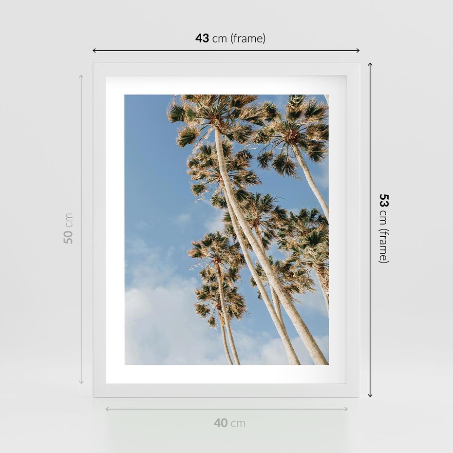 Plakat w ramie 40x50 - Pod Niebem Palmy - palmy na niebieskim niebie - rama biała