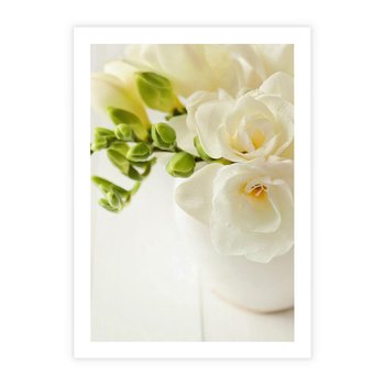 Plakat bez ramy 21x30 - Subtelność białych frezji - frezja, białe