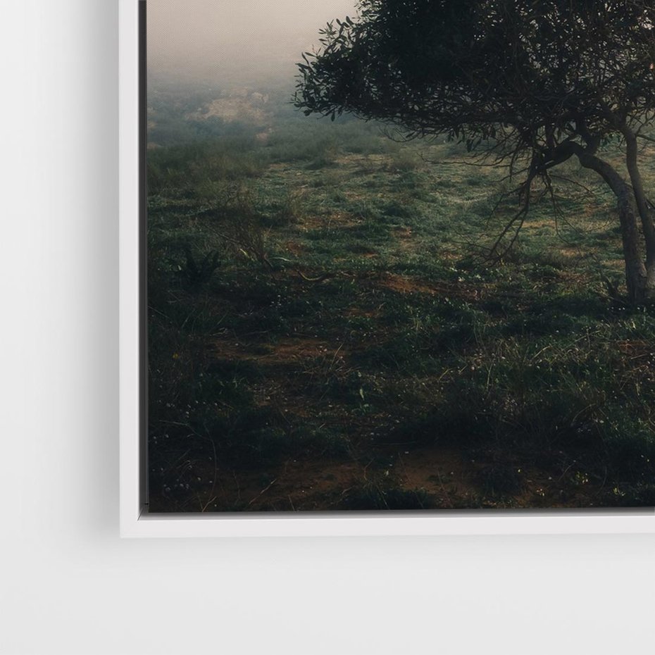 Obraz w ramie 80x80 - Zamglona Prostota - artystyczna fotografia, samotne drzewo na zamglonej łące - rama biała
