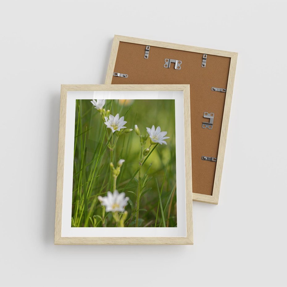 Plakat w ramie 40x50 - Kolorowa łąka - stokrotki, łąka - rama drewno