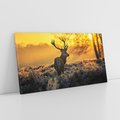 Obraz na płótnie 140x70 - Jesienne Spotkanie w Lesie - jeleń, jesień
