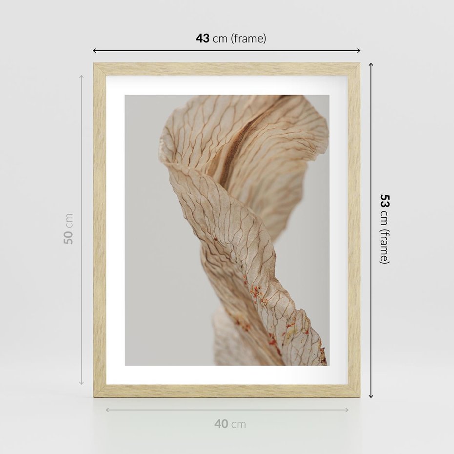 Plakat w ramie 40x50 - Suszone piękno - susz, suche - rama drewno