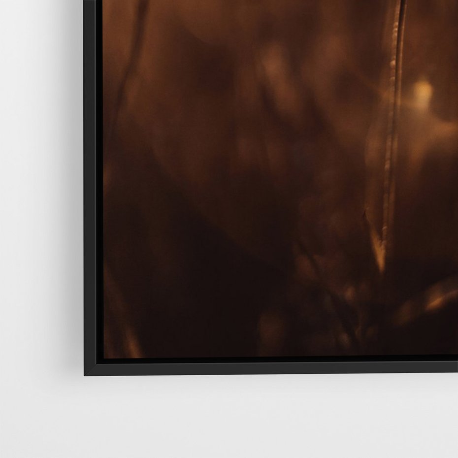 Obraz w ramie 50x70 - Spokój łąki pod zachodem słońca - zachód, słońca - rama czarna