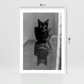 Plakat bez ramy 21x30 - Kocie Oczy - kot, czarno białe zdjęcie