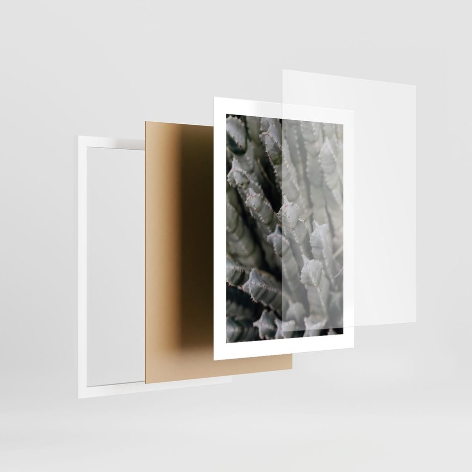 Plakat w ramie 30x40 - Oaza Natury - sukulenty, kaktusy - rama biała