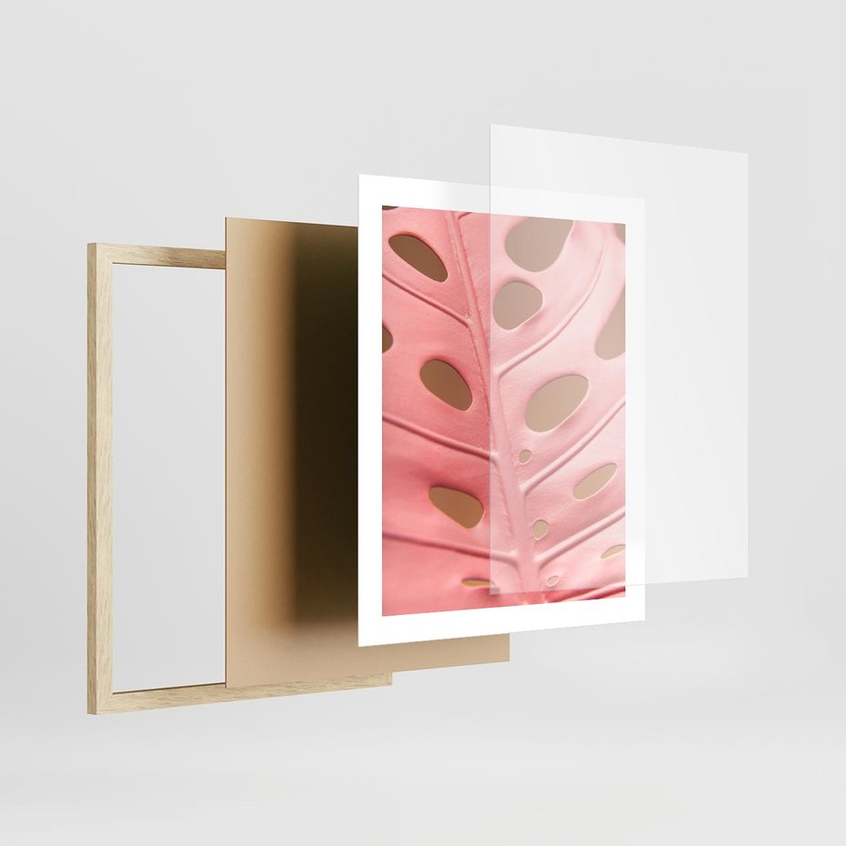 Plakat w ramie 40x50 - Różowa monstera w pełnym rozkwicie - różowa, monstera - rama drewno