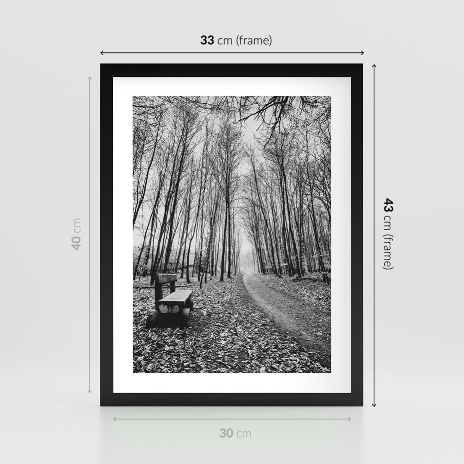 Plakat w ramie 30x40 - Spadające Liście - czarno białe zdjecie, park - rama czarna