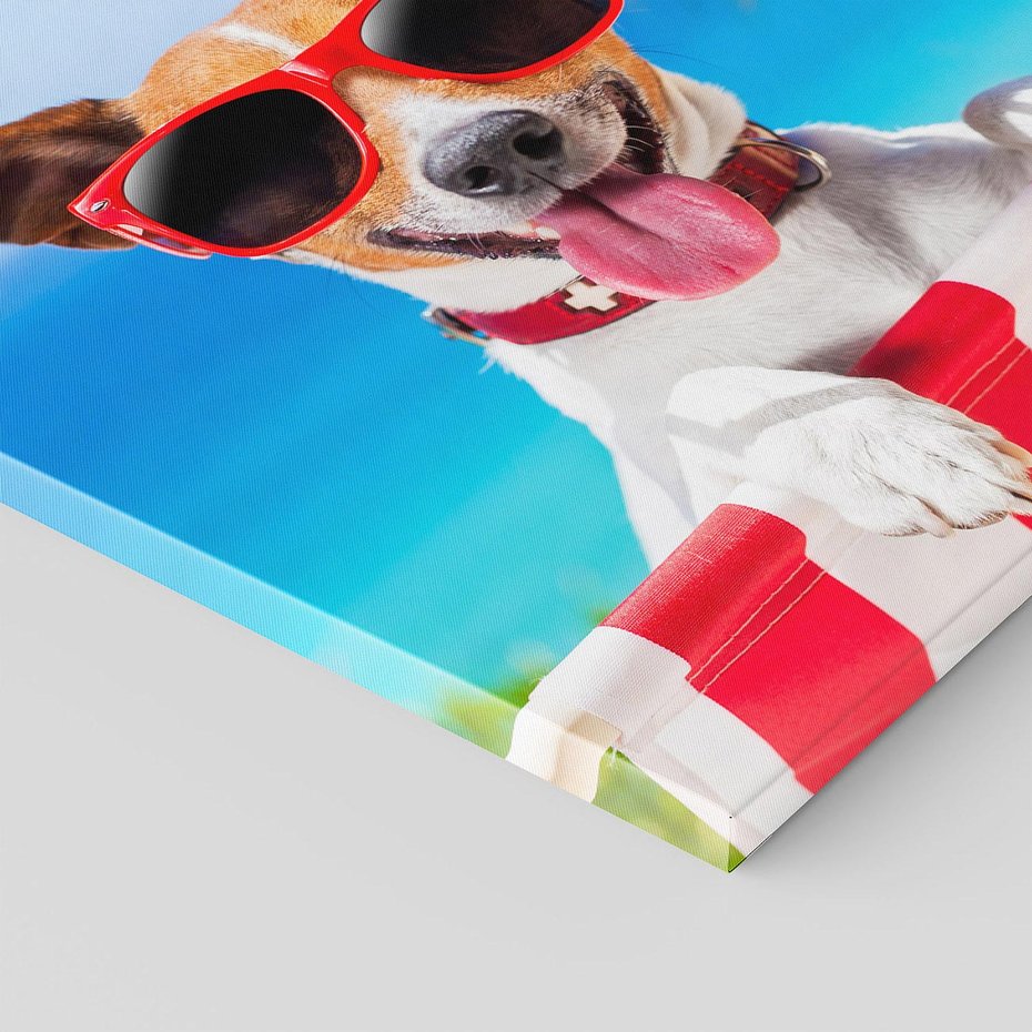 Obraz na płótnie 60x60 - Wakacyjny pies: Słoneczne przygody - pies, wakacje