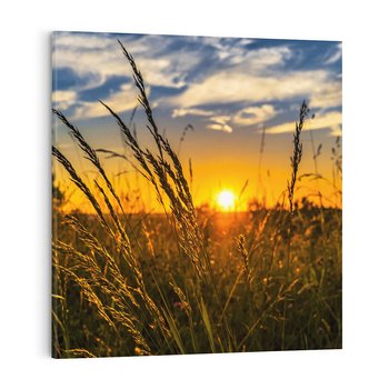 Obraz na płótnie 80x80 - "Zachód Słońca, Łąka - Magiczna Aura - zachód, słońca