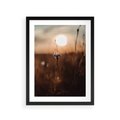 Plakat w ramie 30x40 - Spokój łąki pod zachodem słońca - zachód, słońca - rama czarna