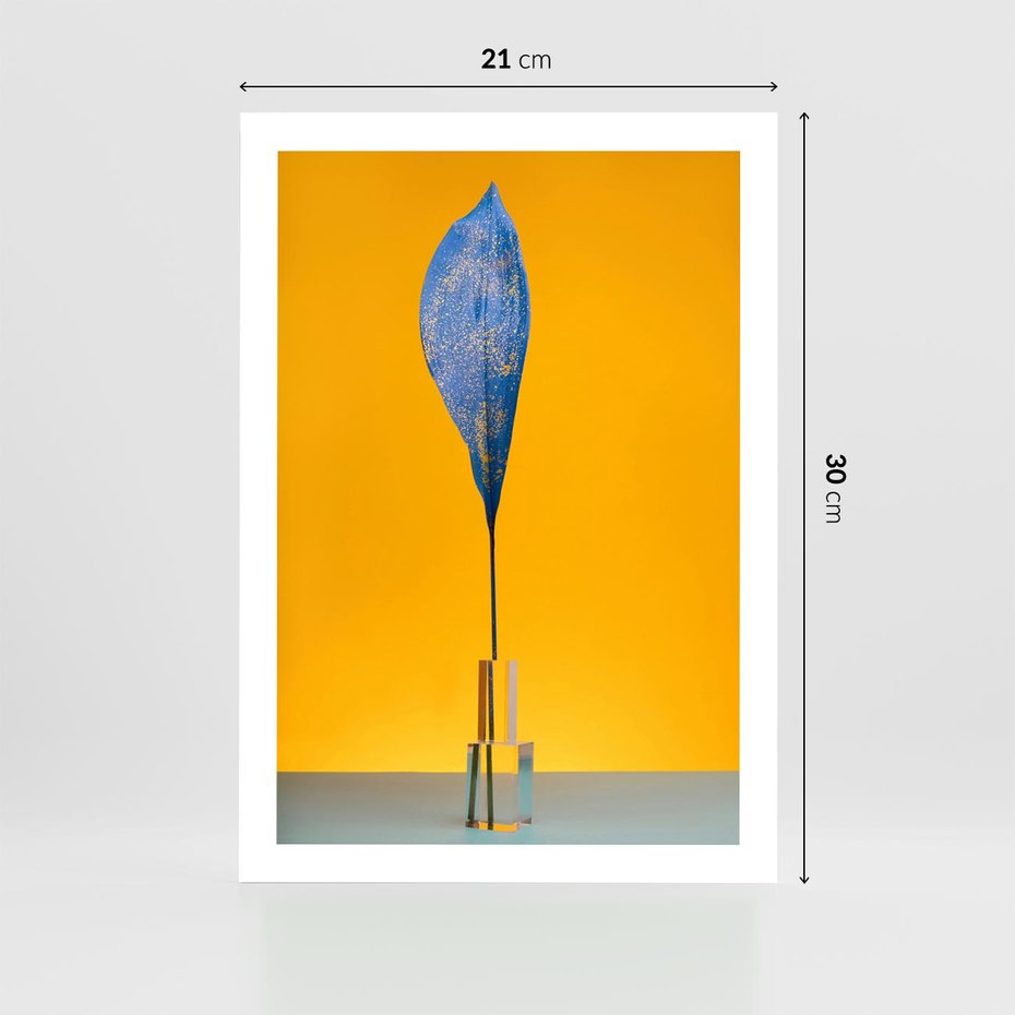 Plakat bez ramy 21x30 - Niebiańskie liście - liść, liście