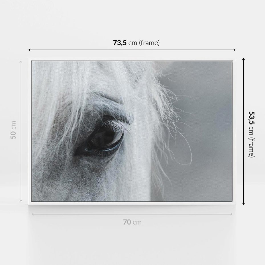 Obraz w ramie 70x50 - Oko Mocy - czarno białe zdjęcie, zbliżenie makro na oko konia - rama biała