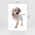 Plakat bez ramy 21x30 - Szczeniak pełen radości - piesek, szczeniak