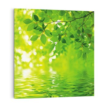 Obraz na płótnie 80x80 - Liście w Wodzie - liście, woda