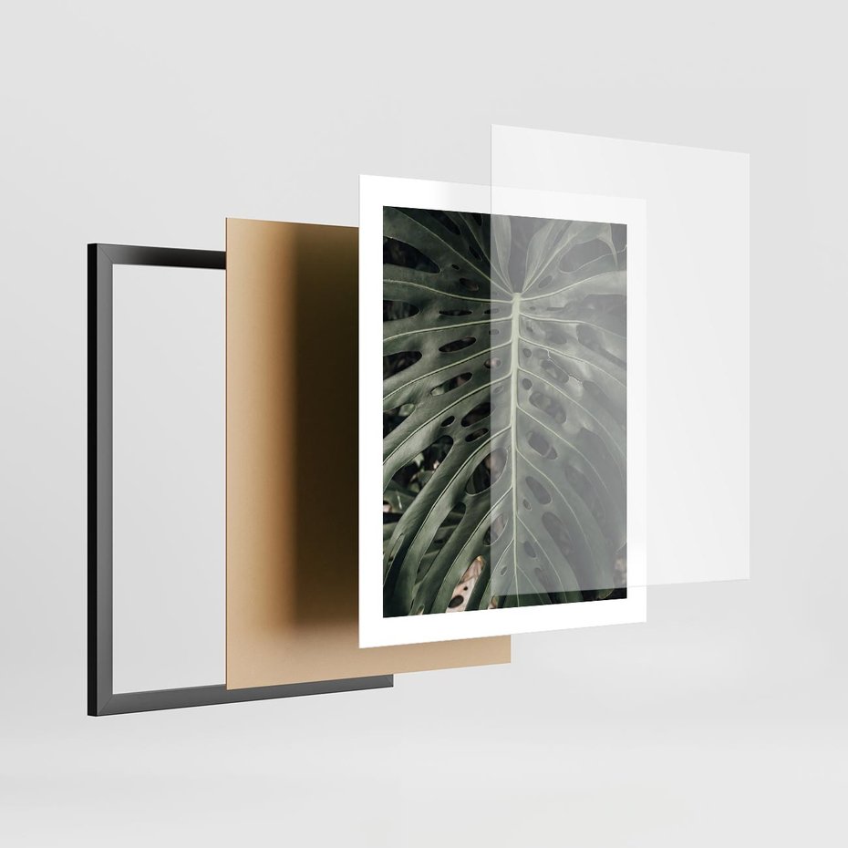 Plakat w ramie 40x50 - Majestatyczny Liść Monstery - liść monstery, majestatyczny liść - rama czarna