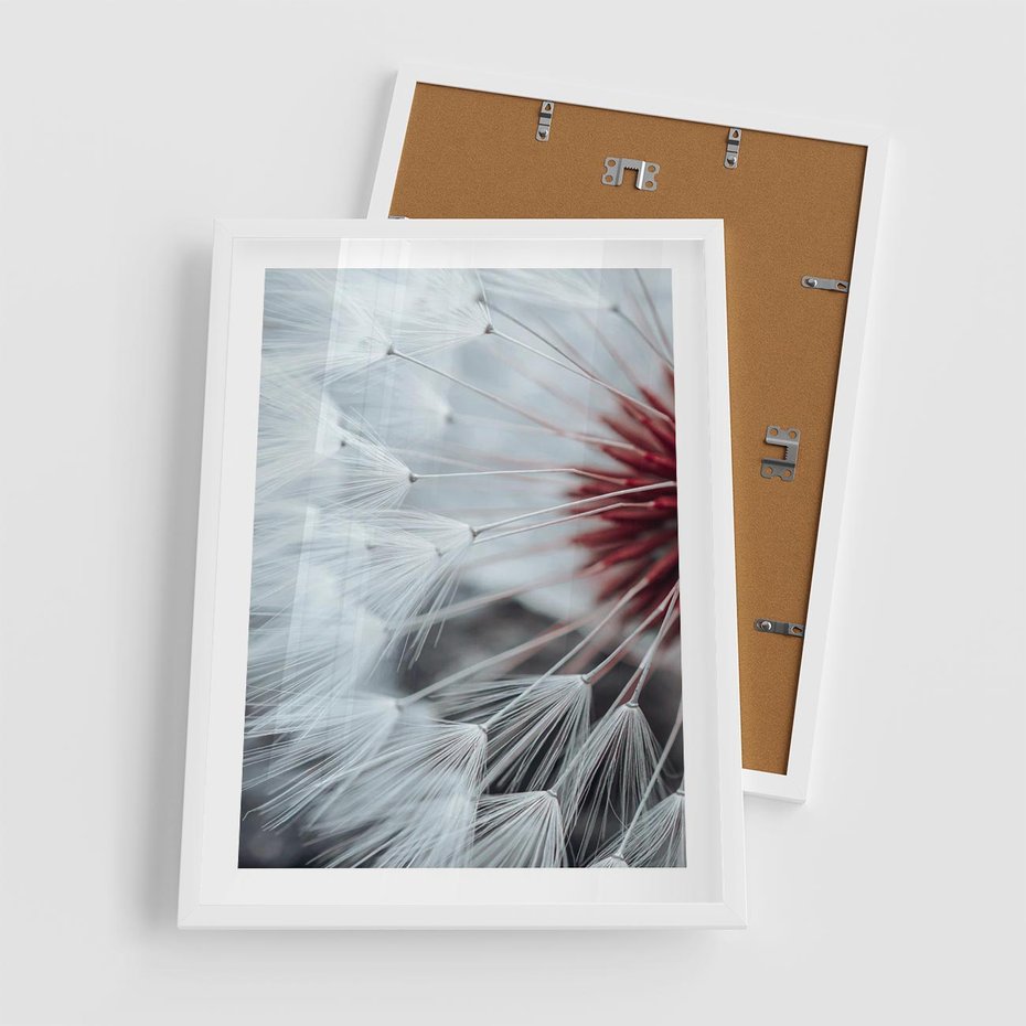 Plakat w ramie 50x70 - Makro Magii Natury - dmuchawiec, zbliżenie makro - rama biała