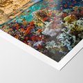 Plakat bez ramy 40x50 - Rafa koralowa w oceanie - rafa, koralowa
