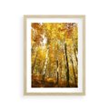 Plakat w ramie 30x40 - Jesienny Las - Kolorowa Paleta Natury - jesień, drzewa - rama drewno