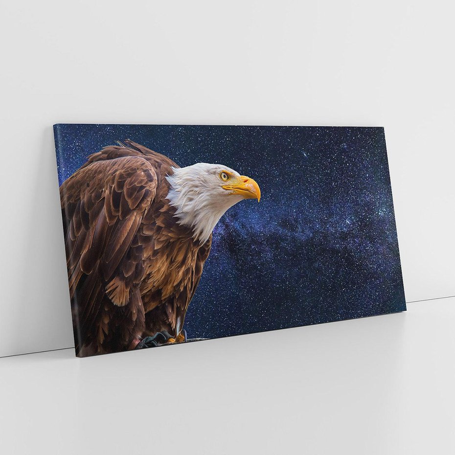 Obraz na płótnie 120x60 - Orzeł w niebieskiej przestrzeni - orzeł, ptak