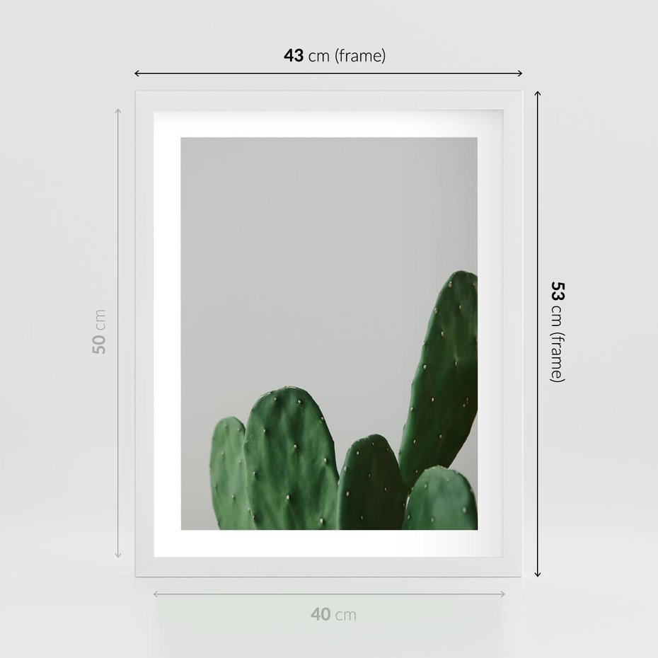 Plakat w ramie 40x50 - Majestatyczne Wysokości - kaktusy, liście - rama biała