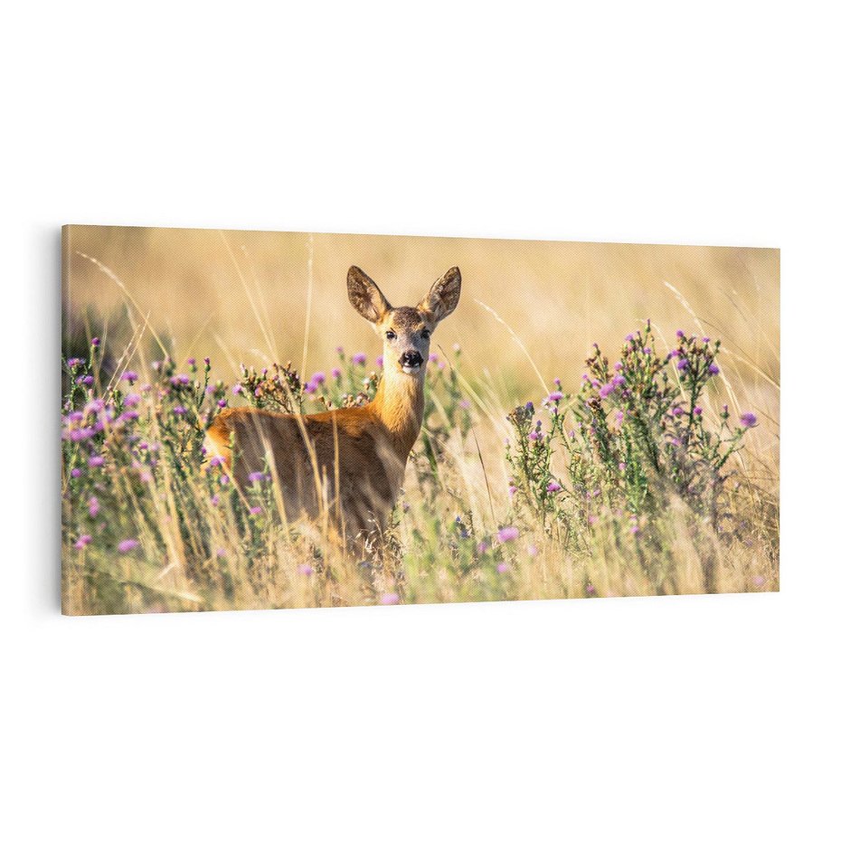 Obraz na płótnie 120x60 - Sarenka na malowniczej łące - sarna, sarenka