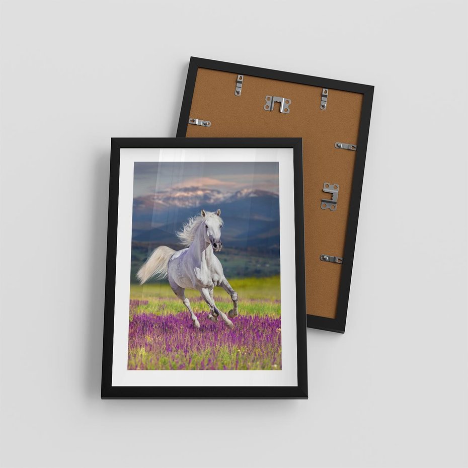 Plakat w ramie 30x40 - Koń Góry: Spotkanie z Wielką Przyrodą - koń, góry - rama czarna