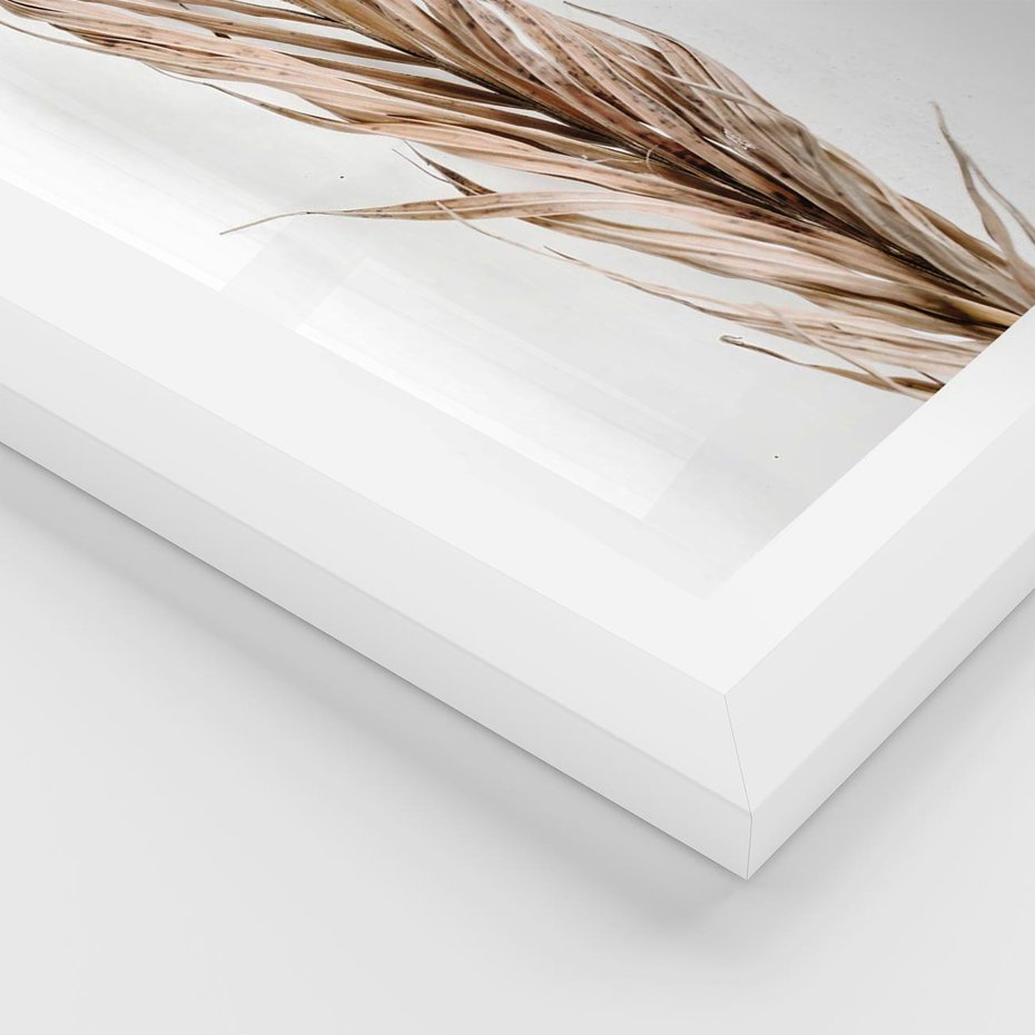 Plakat w ramie 40x50 - Minimalizm Palmowy: Sucha Uroda - sucha palma, minimalizm - rama biała