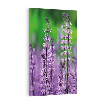 Obraz na płótnie 50x70 - Lawendowy urok - lawenda, kwiaty