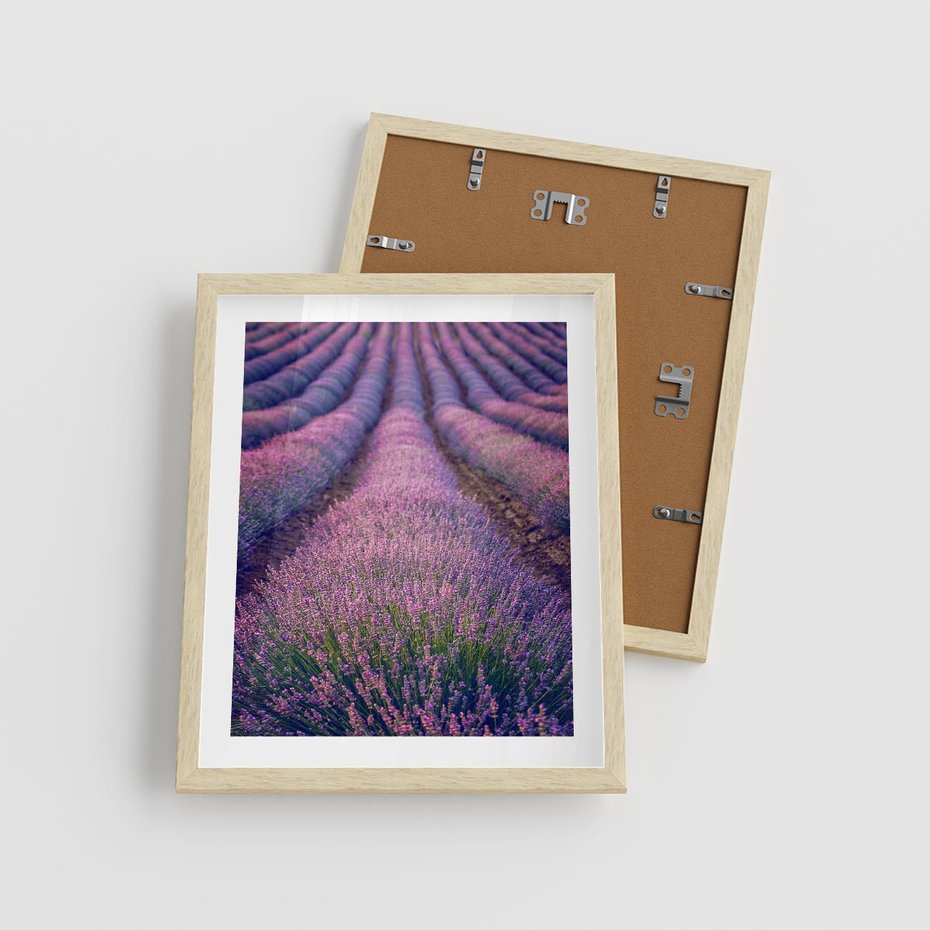Plakat w ramie 40x50 - Pole Lawendy w Pełnej Krasie - pole lawendy, kompozycja - rama drewno