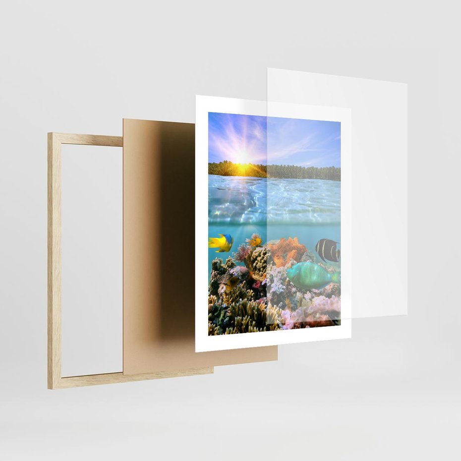 Plakat w ramie 40x50 - Rafa Koralowa - Podwodne Cuda - rafa, koralowa - rama drewno