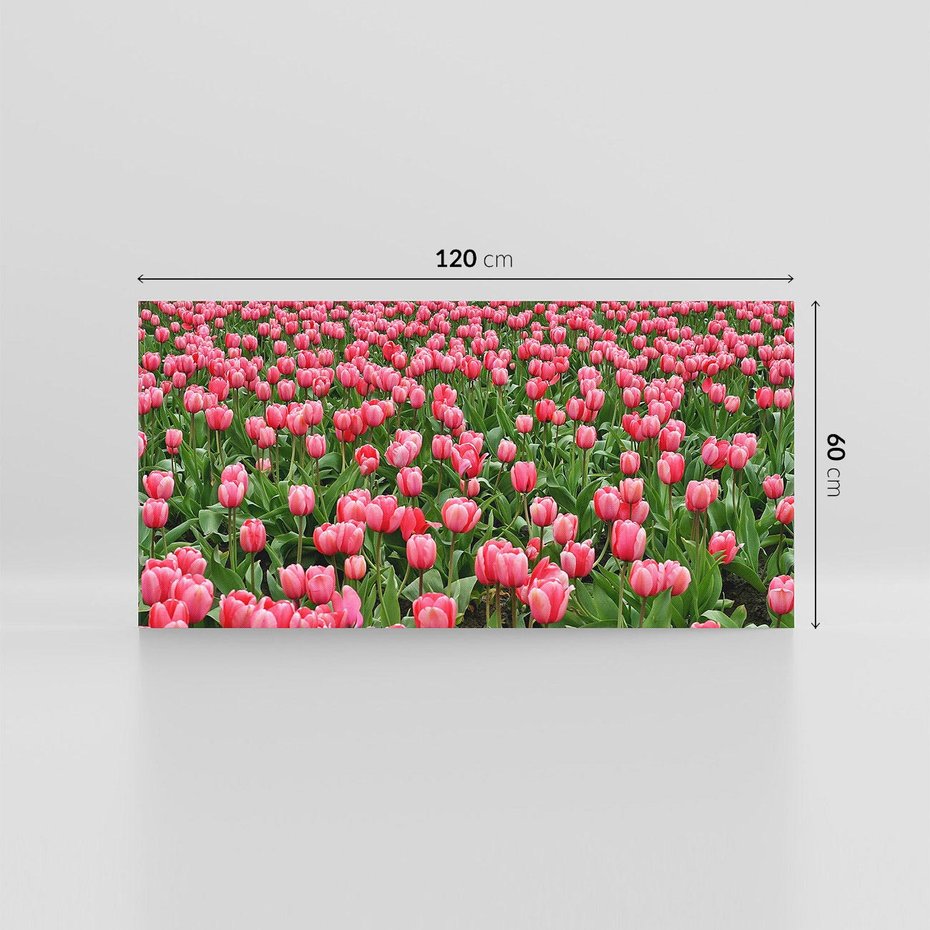 Obraz na płótnie 120x60 - Tulipanowe Elegancja - tulipany, kwiat