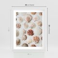 Plakat w ramie 40x50 - Morska Delikatność: Muszelki na Białym Tle - kompozycja, morskie muszelki na białym tle - rama biała