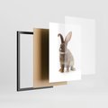 Plakat w ramie 50x70 - Delikatna Zwierzęca Uroda - królik, zwierzę - rama czarna