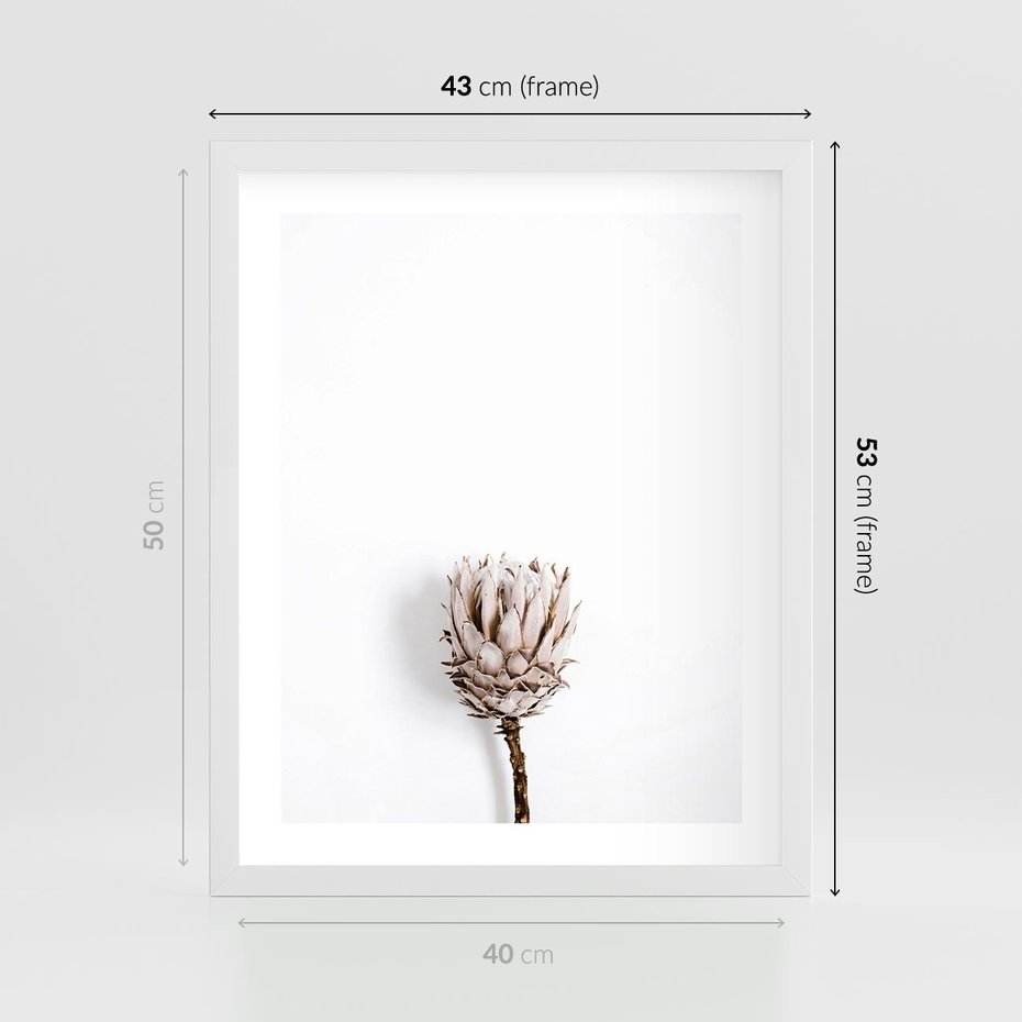 Plakat w ramie 40x50 - Suszona Roślina na Białym Tle - minimalizm, suszona roślina - rama biała
