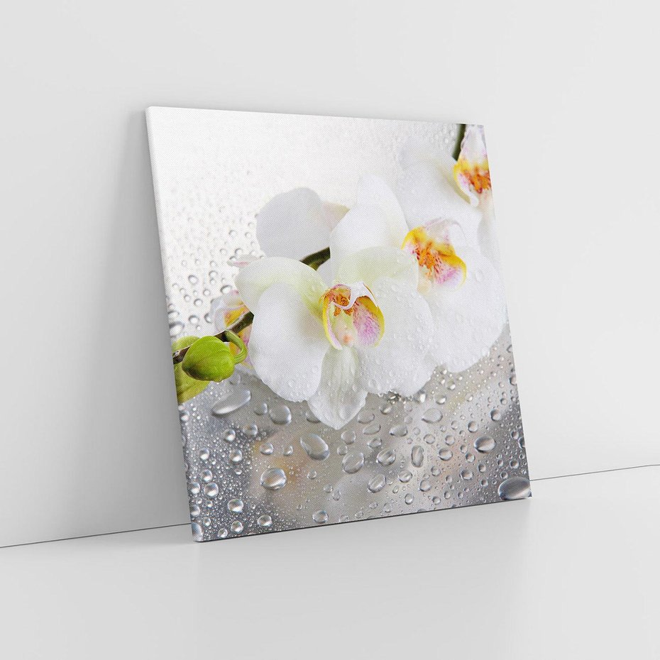 Obraz na płótnie 80x80 - Kwiatowy rój - kwiaty, kwiat