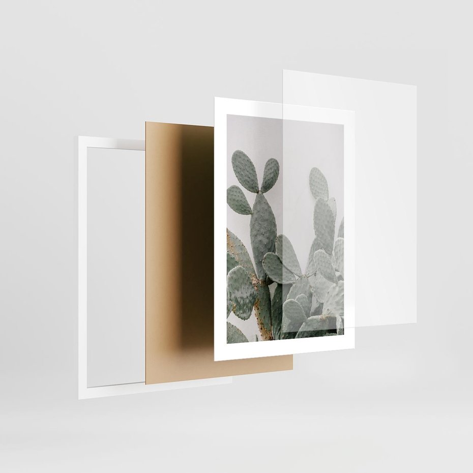 Plakat w ramie 30x40 - Imponujący Kaktus - duży kaktus, opuncja - rama biała
